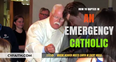 Emergency Baptism: Catholics' Quick Guide to Saving Souls
