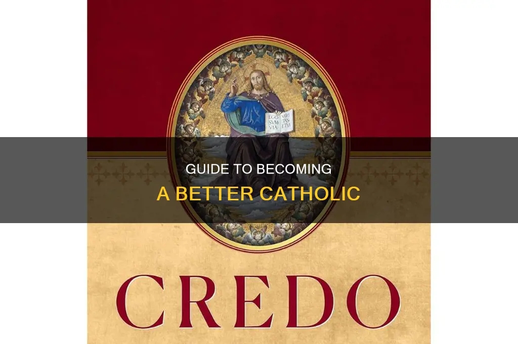how to be a better catholic book