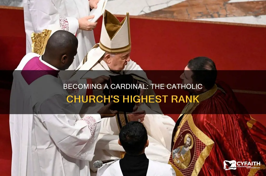 how to be a cardinal in catholic