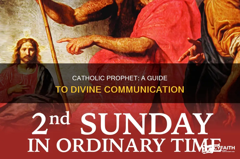 how to be a catholic prophet