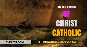Following Christ: A Catholic's Guide to Discipleship