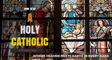 Living a Holy Catholic Life: A Guide