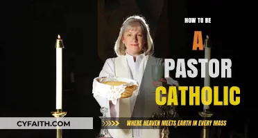 A Pastor's Journey: Catholic Edition