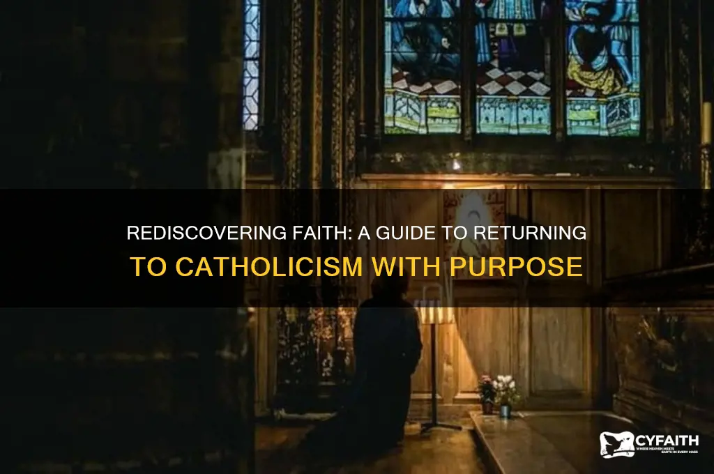 how to be catholic again