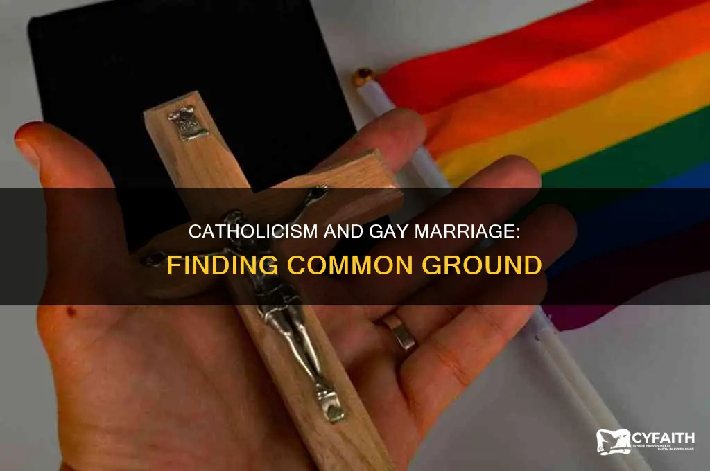 how to be catholic and support gay marriage