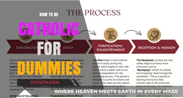 A Beginner's Guide to Catholicism