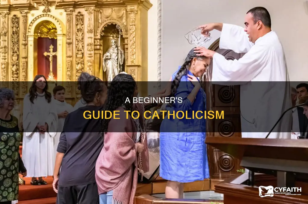 how to be catholic for dummies