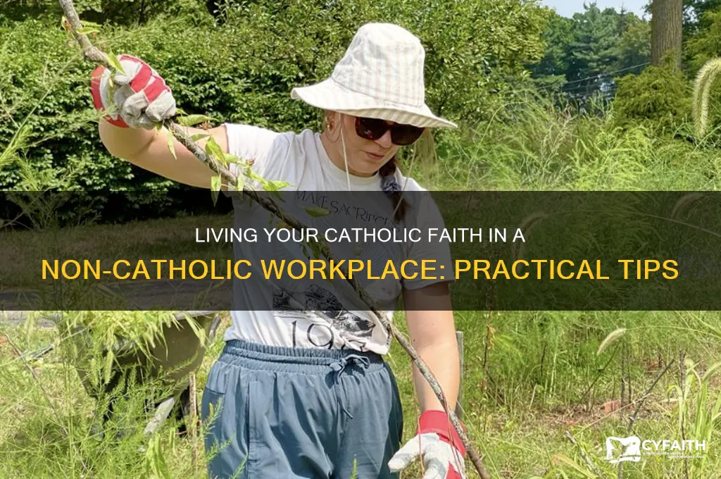 how to be catholic in non catholic enviroment work