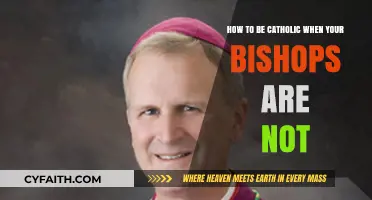 Faithful Amidst Challenges: Navigating Catholicism When Bishops Fall Short