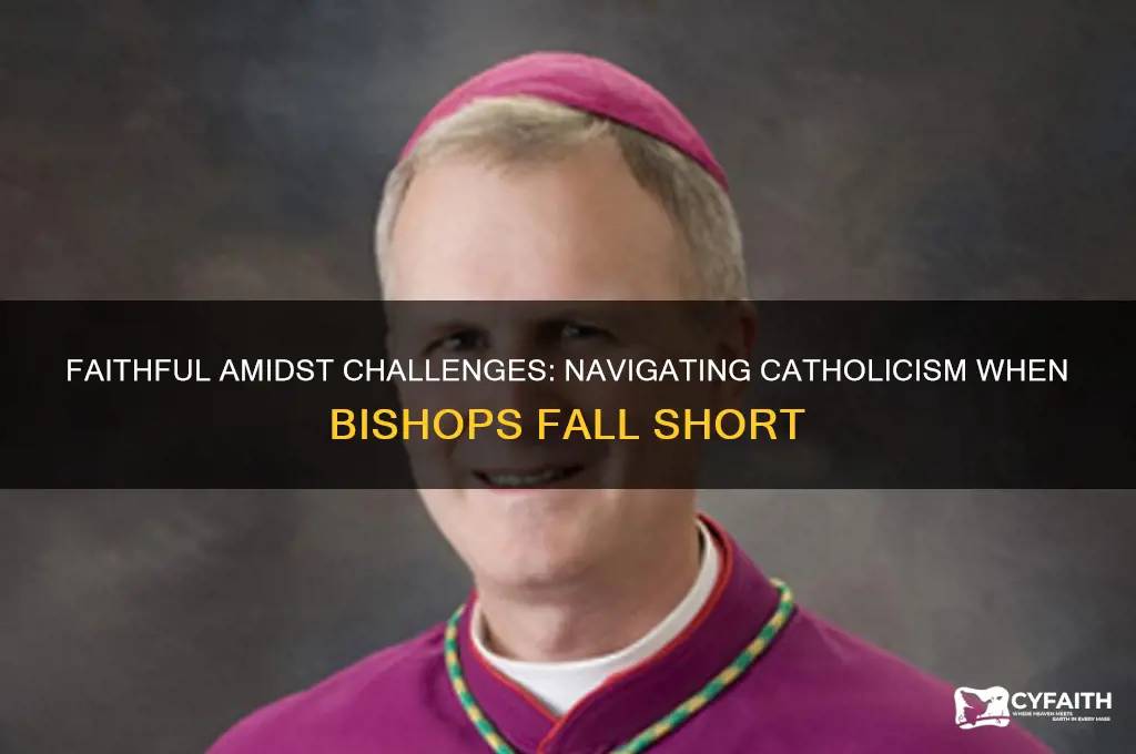 how to be catholic when your bishops are not