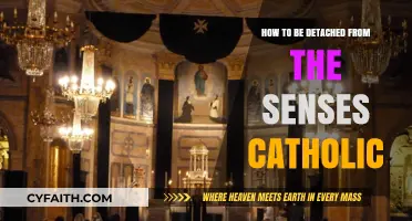 Senses and the Soul: A Catholic's Guide to Detachment