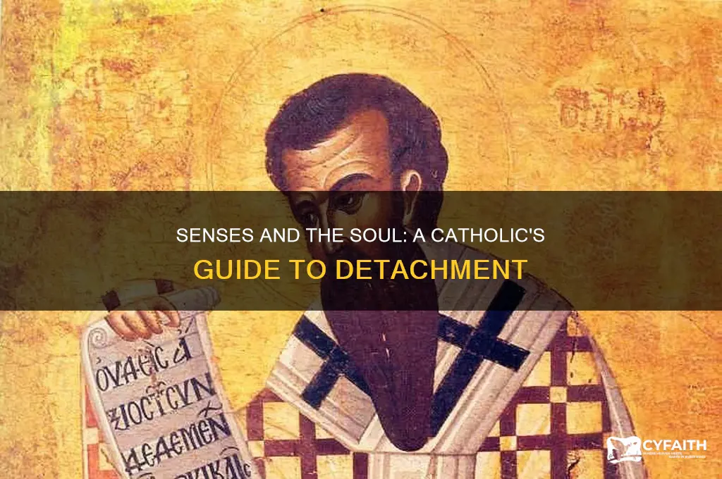 how to be detached from the senses catholic
