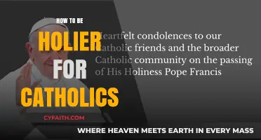Living a Holy Catholic Life: A Guide to Holiness
