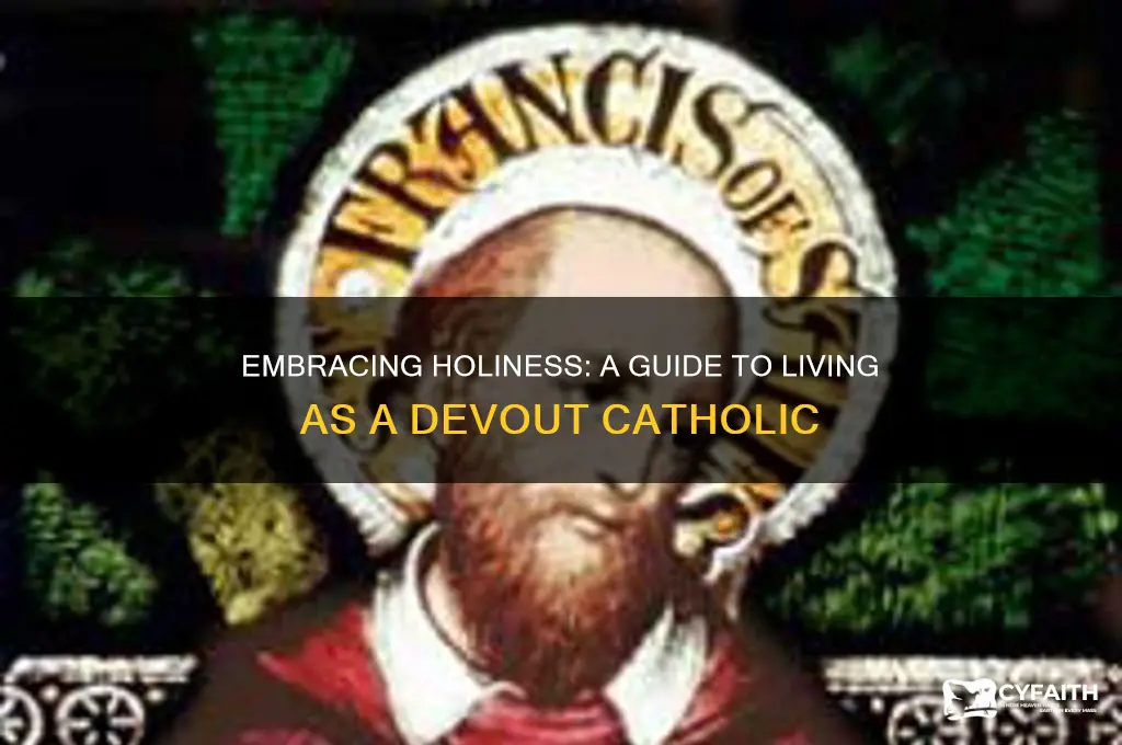 how to be holy catholic