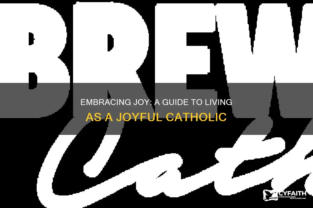 how to be joyful catholic