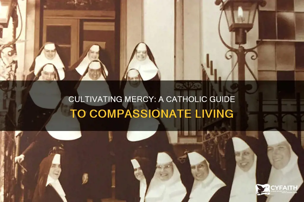 how to be merciful catholic