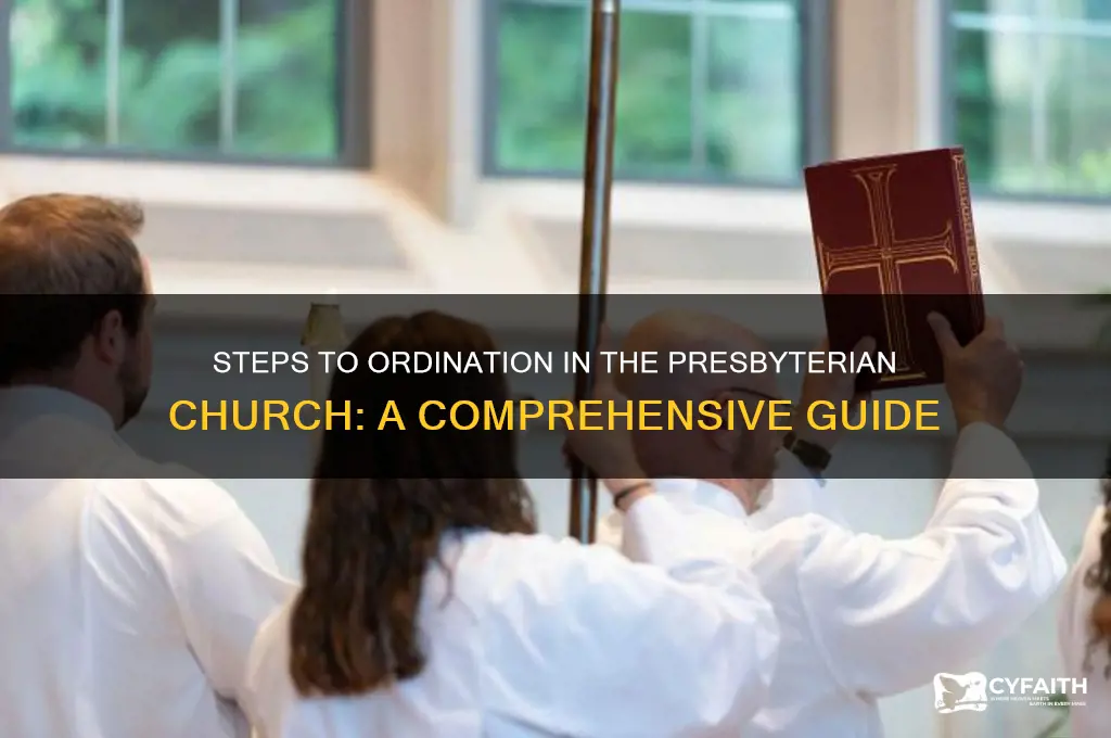 how to be ordained in the presbyterian church