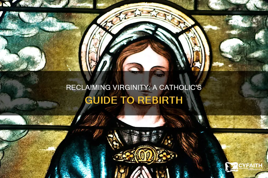 how to become a born again virgin catholic