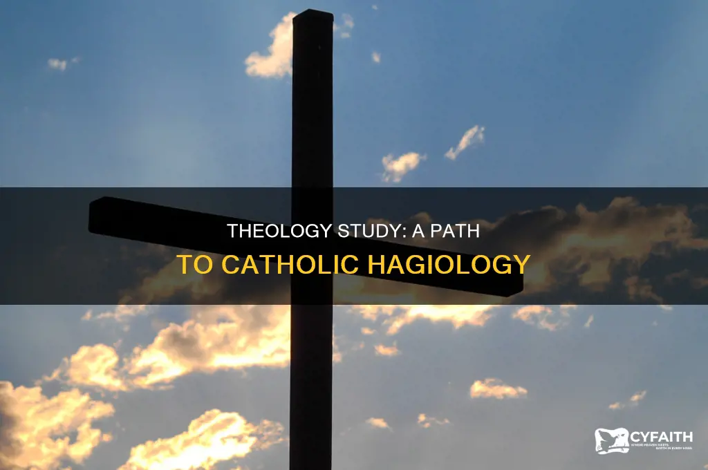 how to become a catholic htrologian