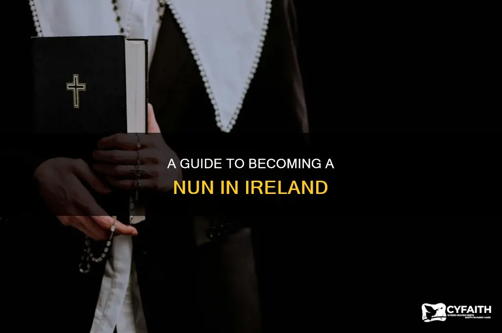 how to become a catholic nun in ireland