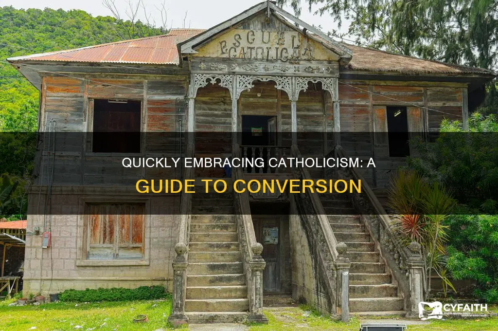 how to become a catholic quickly
