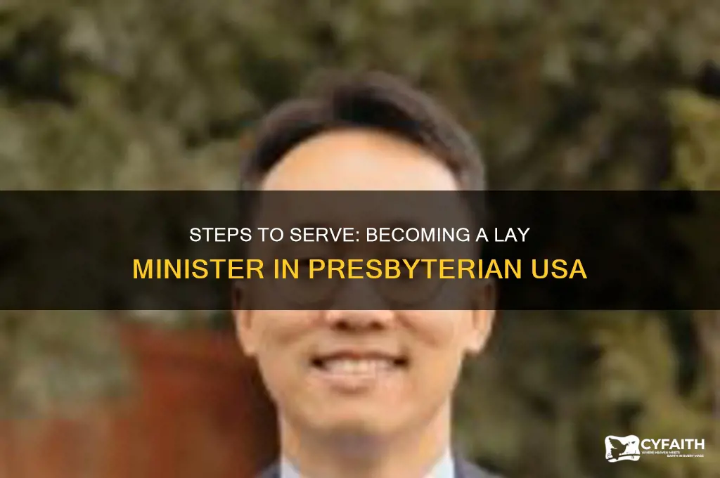 how to become a lay minister in presbyterian usa churches