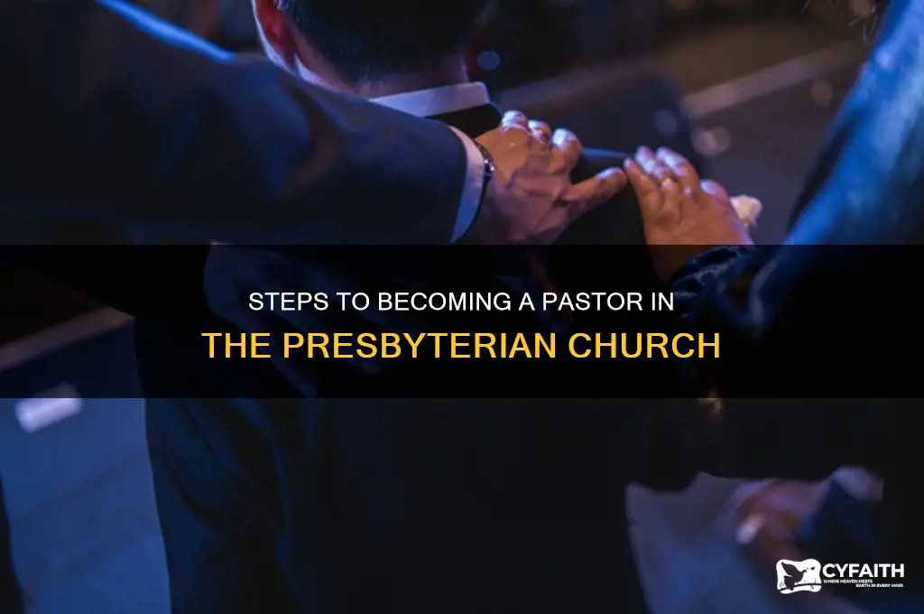 how to become a pastor in the presbyterian church