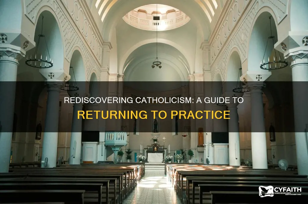 how to become a practicing catholic again