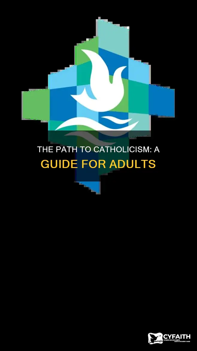 how to become catholic as an adult