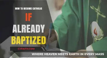 Baptized but not Catholic? Here's How to Join
