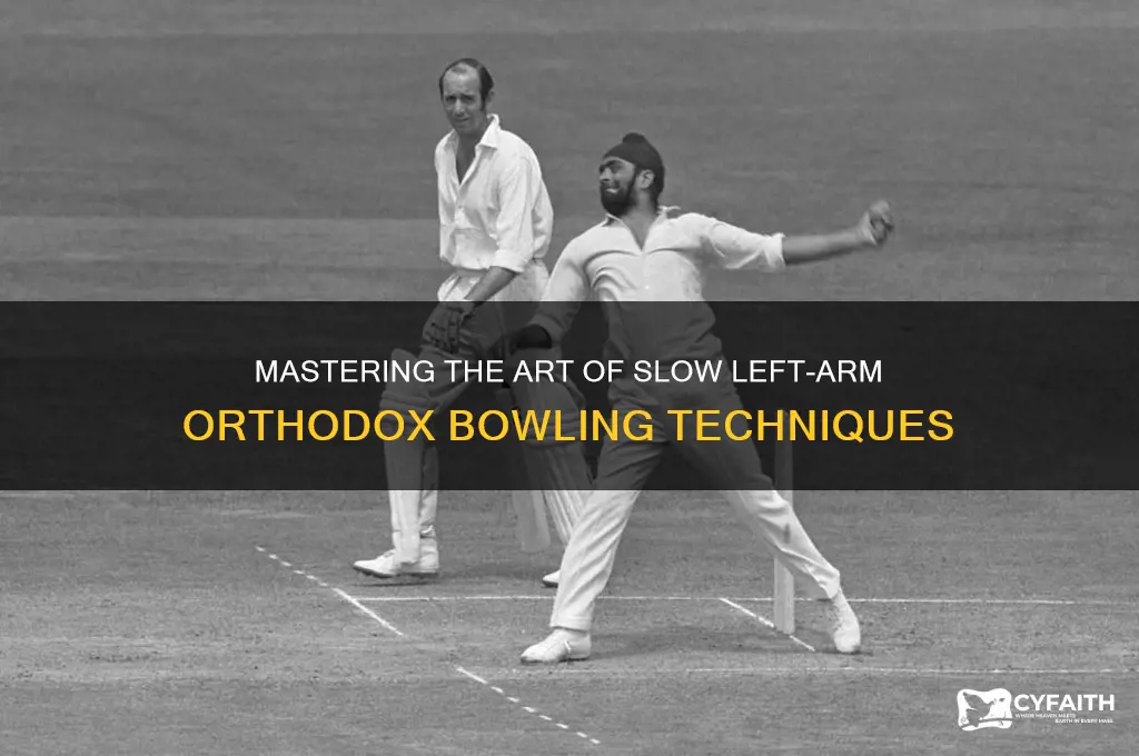 how to bowl slow left arm orthodox