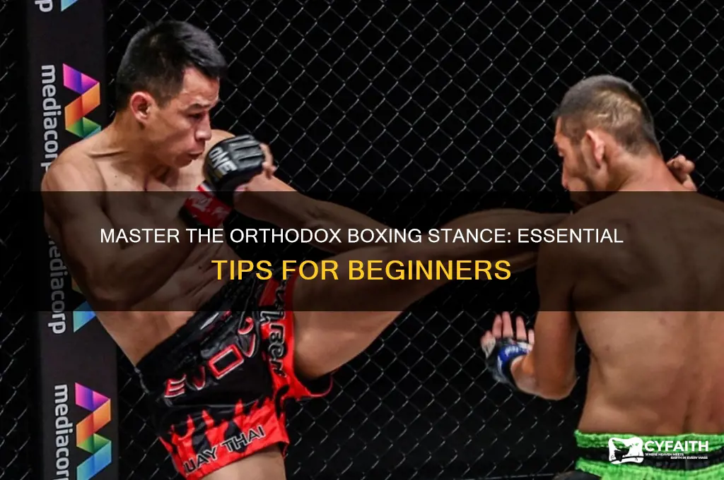 how to box orthodox boxing stance