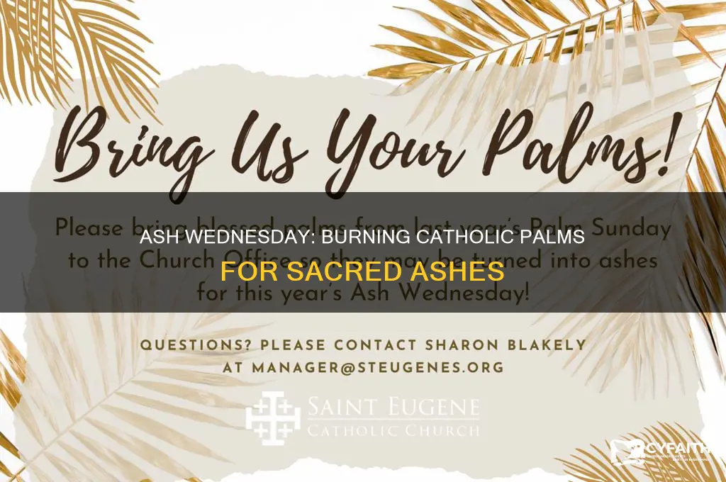 how to burn catholic palms for ash wednesday