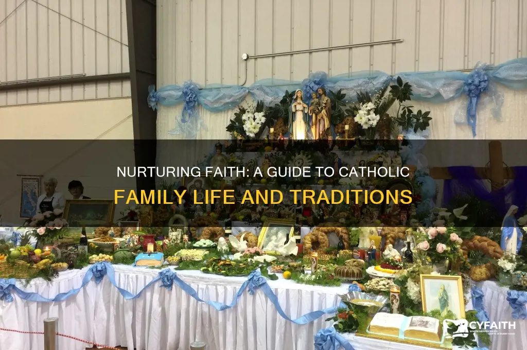 how to catholic family book