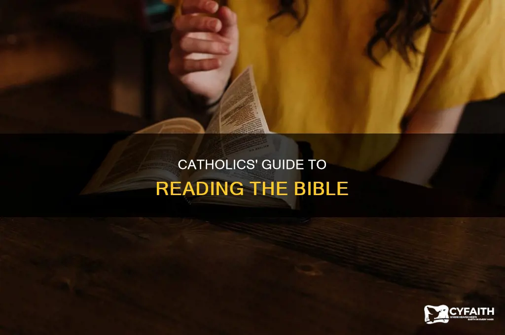 how to catholics read the bibe summary