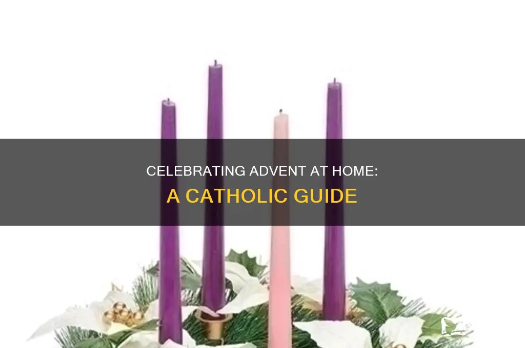 how to celebrate advent at home catholic
