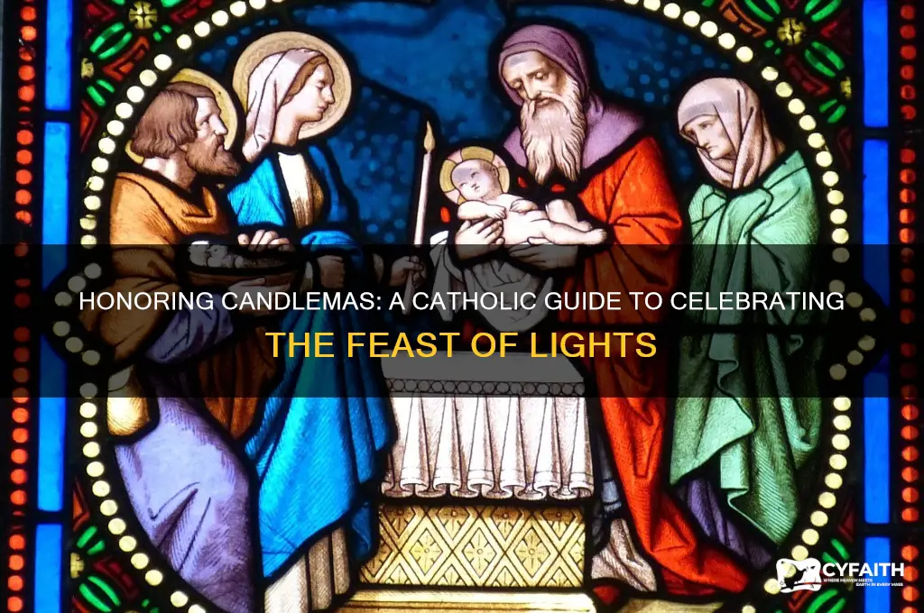 how to celebrate candlemas catholic