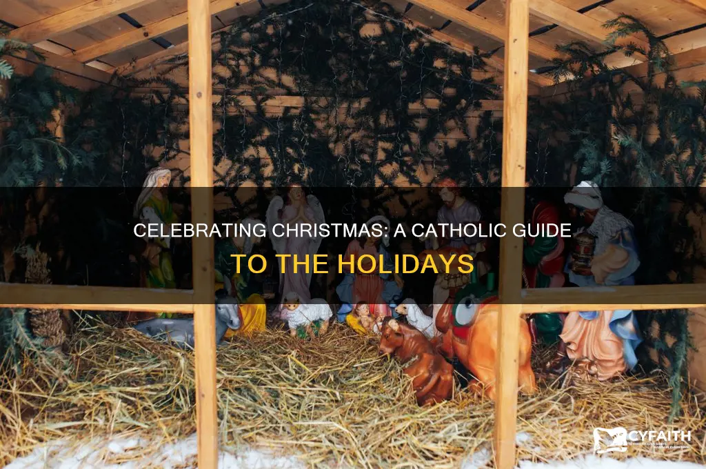 how to celebrate christmas as a catholic