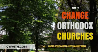 Transforming Orthodox Churches: Embracing Change While Preserving Sacred Traditions