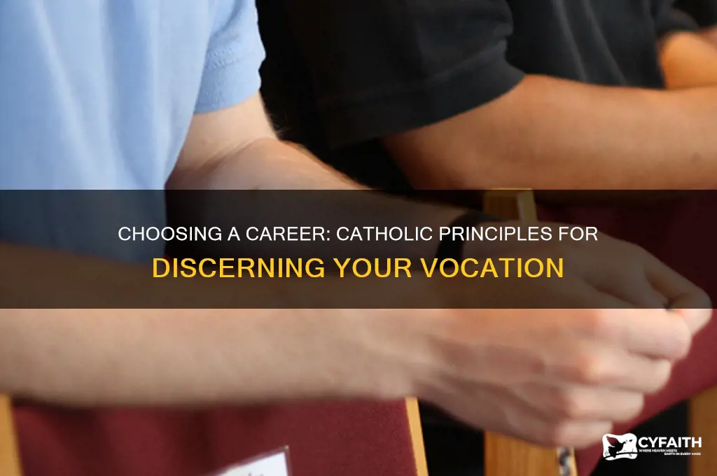 how to choose a profession from a catholic persepective