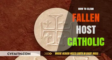 Cleaning Fallen Hosts: A Catholic's Guide