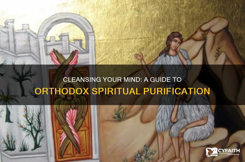 how to cleanse my nous orthodox