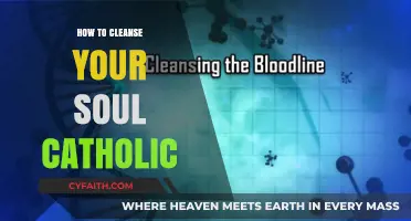 Purifying Your Soul: A Catholic's Guide to Inner Cleansing