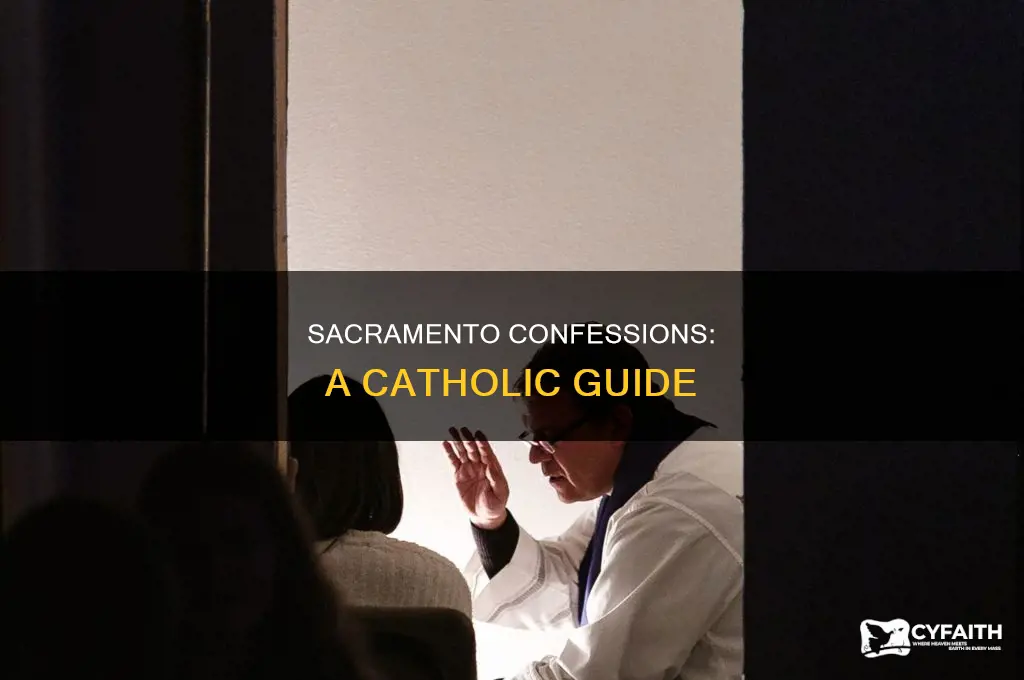 how to confess catholic diocese sacramento confession