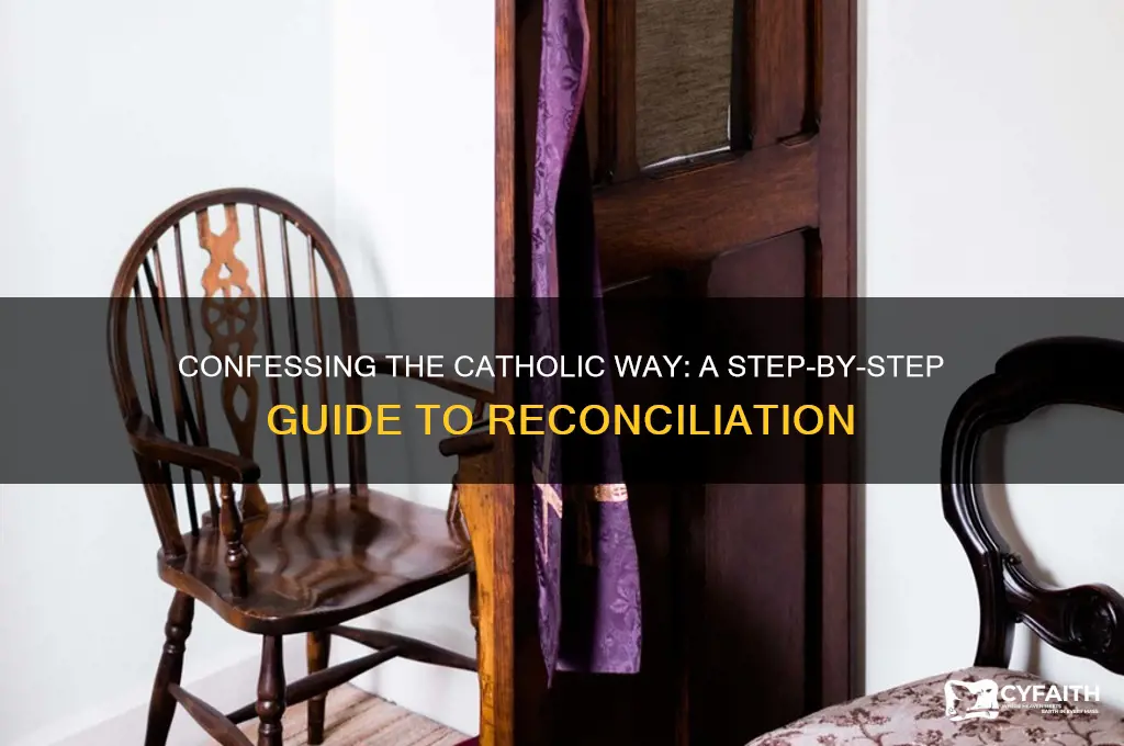 how to confess catholic