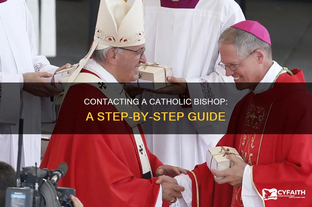 how to contact a catholic bishop