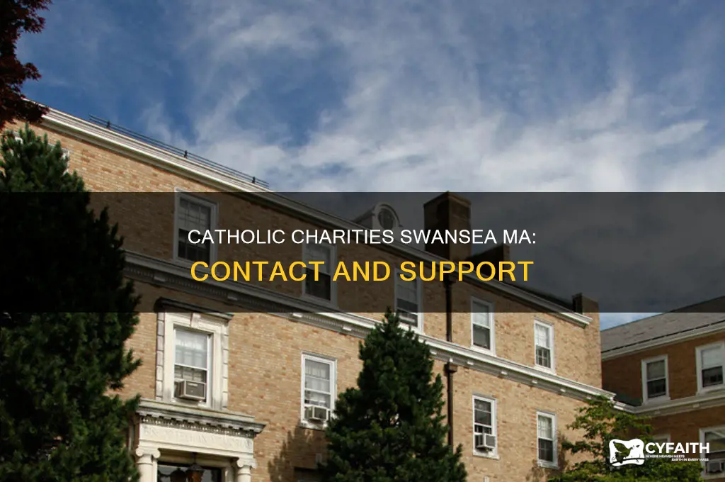how to contact catholic charities in swansea ma