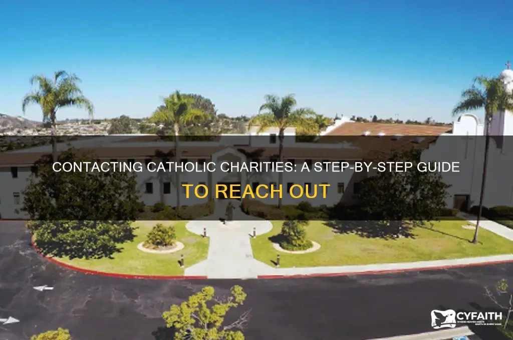 how to contact catholic charities