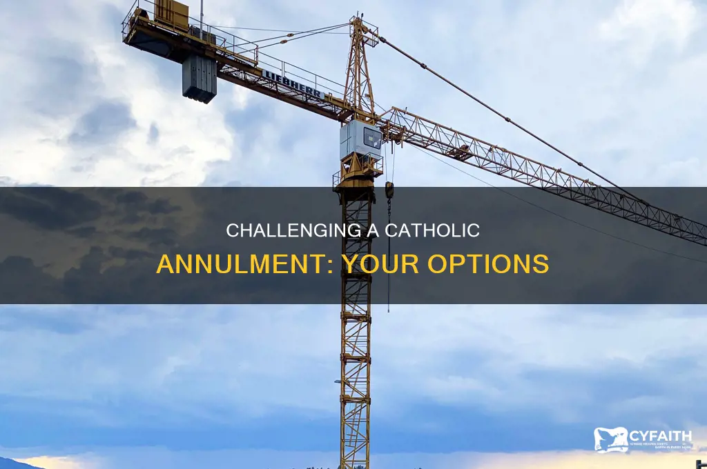 how to contest a catholic annulment