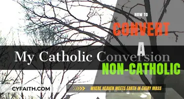 The Power of Persuasion: Converting Non-Catholics to the Faith